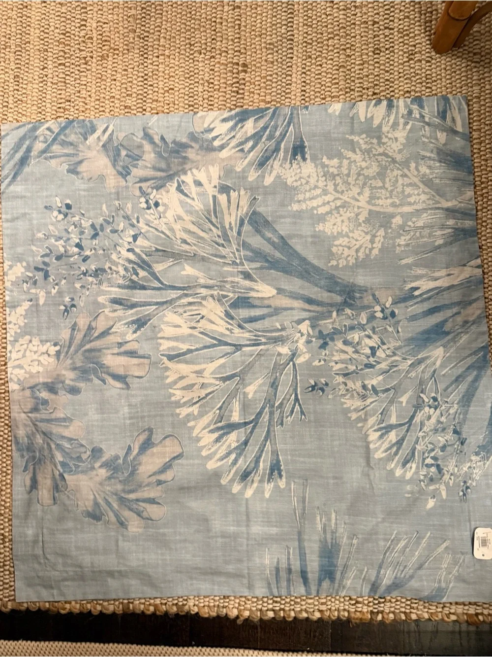 POTTERY BARN Euro Sham Sea Mist Organic Cotton Percale